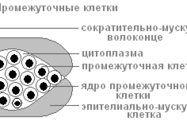 Площадка омг омг ссылка