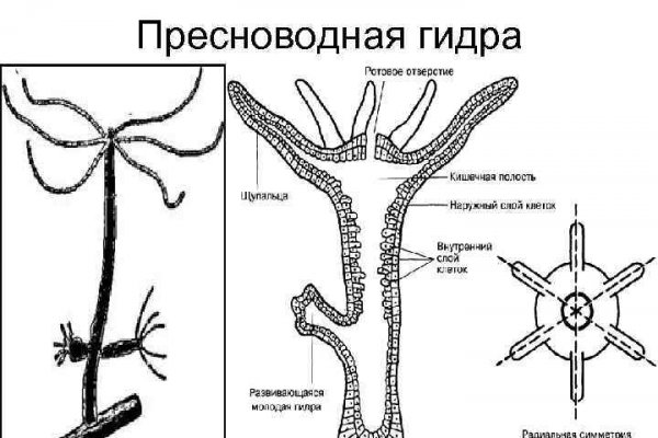 Омг смылка